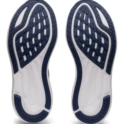 Asics Chaussures Running Neutre|Chaussures Running Entrainement^EvoRide 2