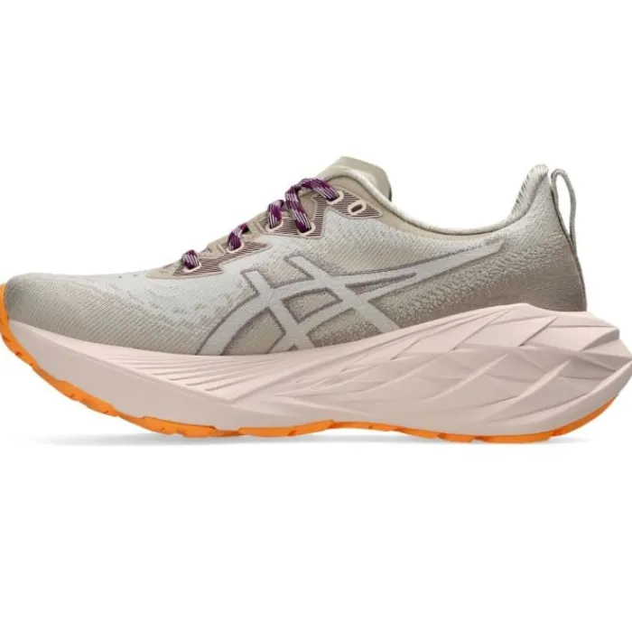 Asics Chaussures Running Neutre|Chaussures Running Entrainement^Novablast 4 TR Gris