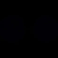 Blackroll Récupération^Duoflex 12