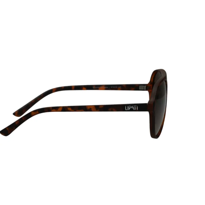 Lipati Lunettes De Running^Boston Breeze Sunglasses Marron