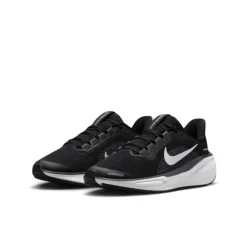 Nike Chaussures Running^Air Zoom Pegasus 41