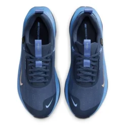 Nike Chaussures Running Neutre|Chaussures Running Entrainement^InfinityRN 4 Gore-Tex Bleu