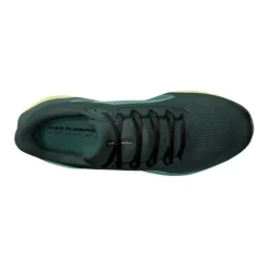 Nike Chaussures Running Neutre|Chaussures Running Entrainement^Pegasus 41 Vert