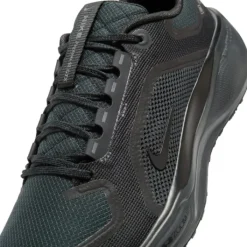 Nike Chaussures Running Neutre^Pegasus 41 Gore-Tex Noir
