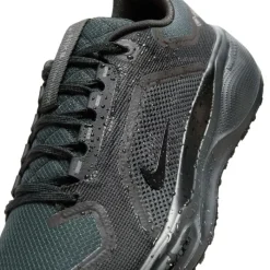 Nike Chaussures Running Neutre^Pegasus 41 Gore-Tex Noir