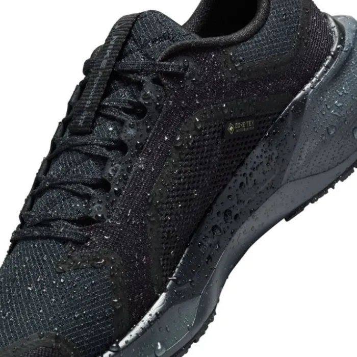 Nike Chaussures Running Neutre|Chaussures Running Entrainement^Pegasus 41 Gore-Tex Noir