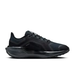 Nike Chaussures Running Neutre|Chaussures Running Entrainement^Pegasus 41 Gore-Tex Noir