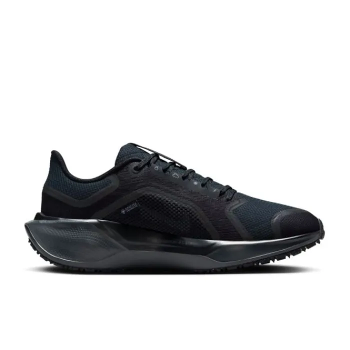 Nike Chaussures Running Neutre|Chaussures Running Entrainement^Pegasus 41 Gore-Tex Noir