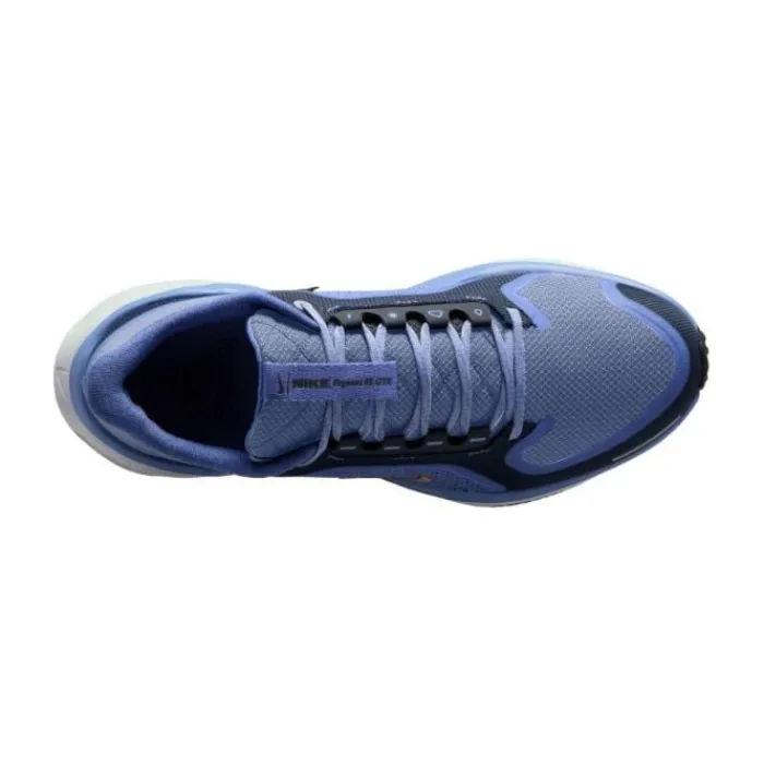 Nike Chaussures Running Neutre|Chaussures Running Entrainement^Pegasus 41 Gore-Tex Bleu
