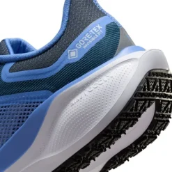 Nike Chaussures Running Neutre|Chaussures Running Entrainement^Pegasus 41 Gore-Tex Bleu