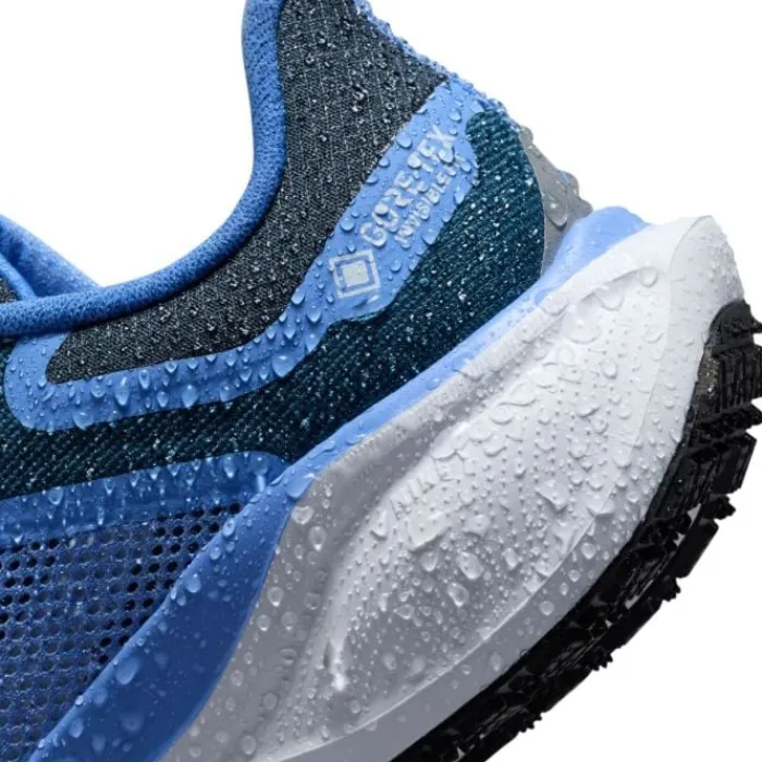 Nike Chaussures Running Neutre|Chaussures Running Entrainement^Pegasus 41 Gore-Tex Bleu