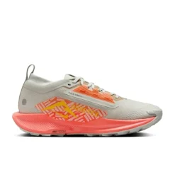 Nike Chaussures Running Neutre|Chaussures Trail^Pegasus Trail 5 Gore-Tex Argent