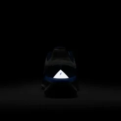 Nike Chaussures Running Neutre|Chaussures Running Entrainement^Winflo 11 Gore-Tex Bleu
