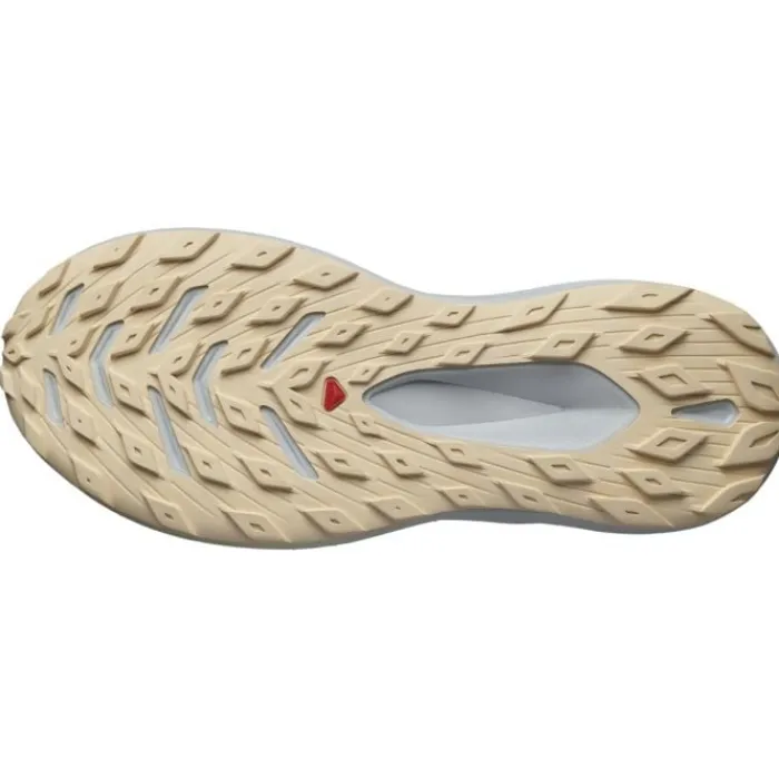 Salomon Chaussures Running Neutre|Chaussures Trail^Glide Max TR Gris