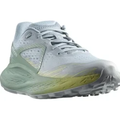Salomon Chaussures Running Neutre|Chaussures Trail^Glide Max TR Bleu