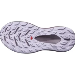 Salomon Chaussures Running Neutre|Chaussures Trail^Glide Max TR Mauve