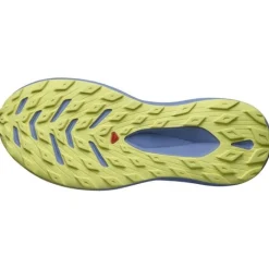Salomon Chaussures Running Neutre|Chaussures Trail^Glide Max TR Bleu