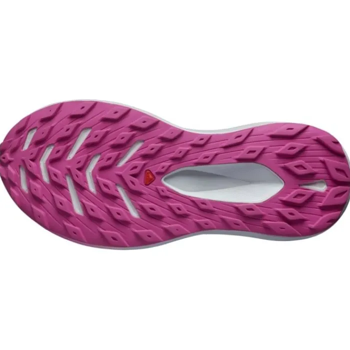 Salomon Chaussures Running Neutre|Chaussures Trail^Glide Max TR Gris