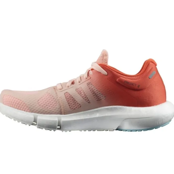 Salomon Chaussures Running Neutre|Chaussures Running Compétition^Predict 2