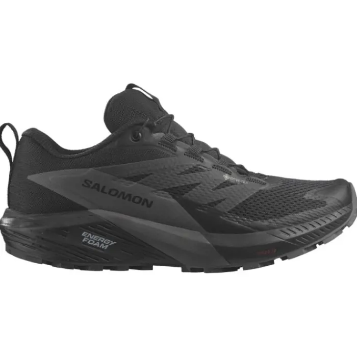 Salomon Offre De Chaussures De Randonnée|Chaussures Running Neutre^Sense Ride 5 GTX Noir