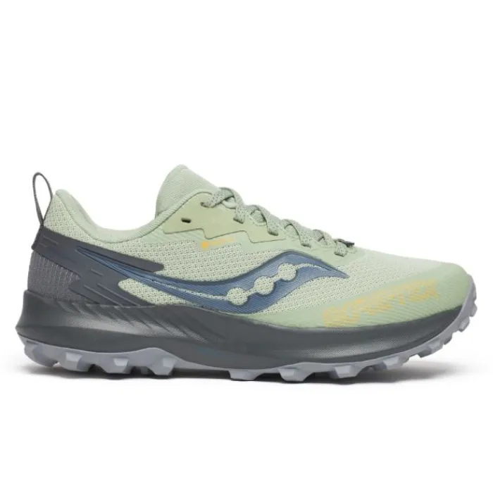 Saucony Chaussures Running Neutre|Chaussures Trail^Peregrine 14 GTX Gris
