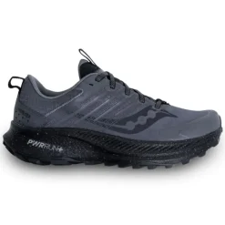 Saucony Chaussures Running Neutre|Chaussures Trail^Ride TR2 GTX Gris