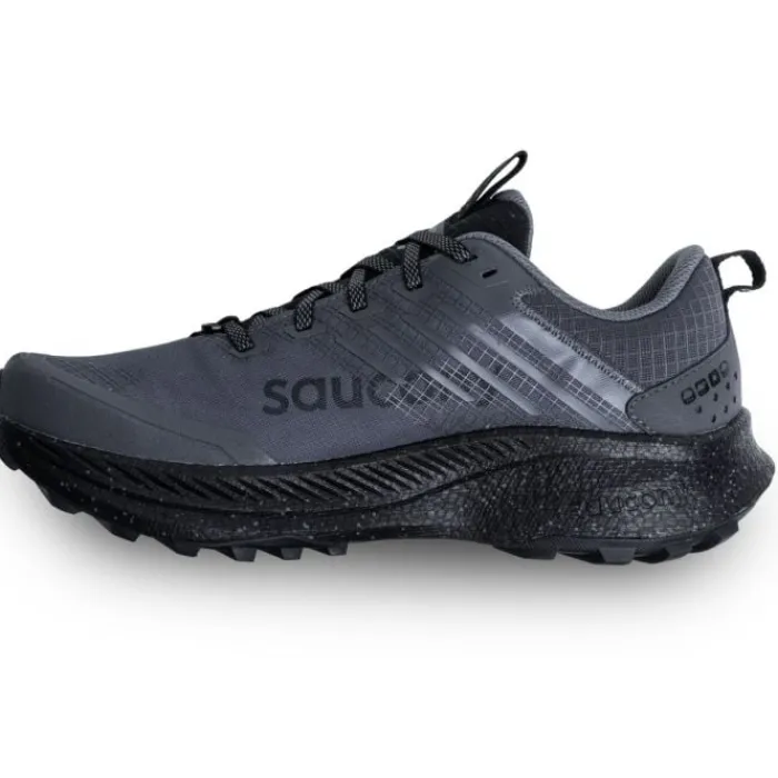 Saucony Chaussures Running Neutre|Chaussures Trail^Ride TR2 GTX Gris