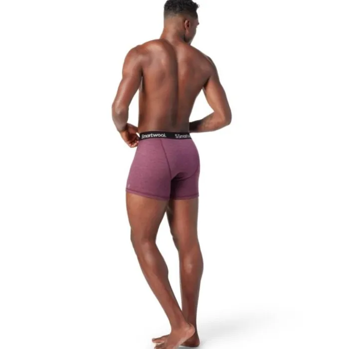 Smartwool Sous Vetement Sport^Merino Sport Boxer Breif Boxed Mauve